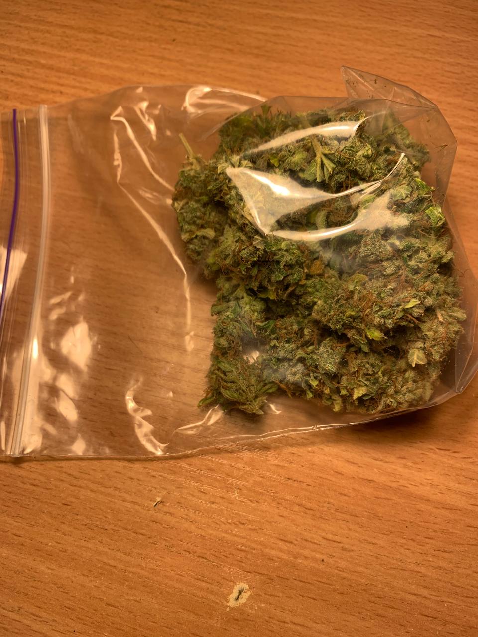 photo_2026-03-18_15-48-24 (2).jpg