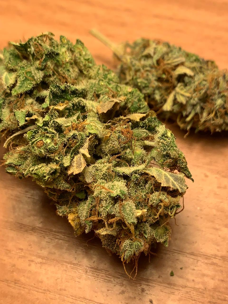 photo_2026-03-18_15-48-25 (2).jpg