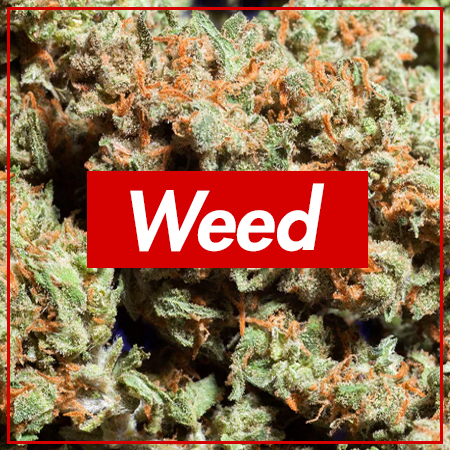 weed-got1.jpg